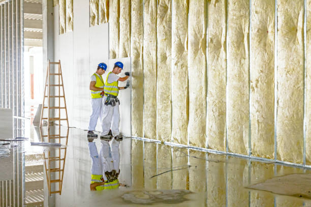 Best Pipe and Duct Insulation  in Lake Isabella, MI